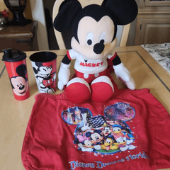 Vintage Mickey Mouse Plush,tumbler,cup and tote