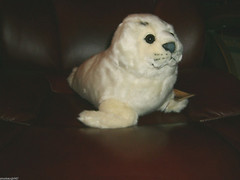 Webkinz Signature Harp Seal WKS1022, Plush NWUT- Retired
