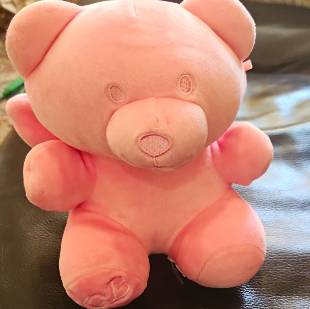 Pink Teddy Bear Plush Stuffed Animal Plush Bear with Embroidered Wings