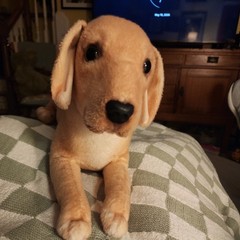 Tiger Tale Toys Mason Labrador Retriever Yellow Labrador Plush Dog Puppy 19″