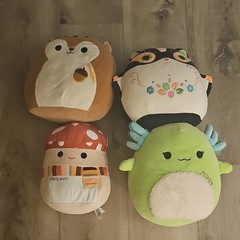 Squishmallows Medium Plush Lot Squirrel Cat Axolotl Mushroom Original Tags