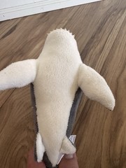 Black Tip Shark Open Mouth Destination Nation Aurora Plush Stuffed Animal Toy