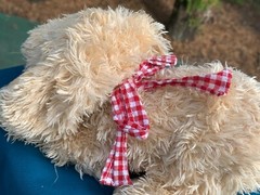 VERY RARE Polyfect Toys Dog 8″ w/Puppy Sounds Plush Stuffed Animal Toy SEE VIDEO