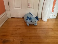 rare squishmallows