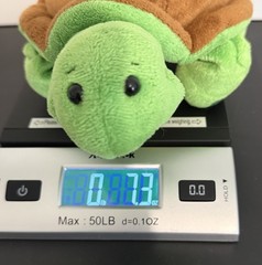 Ganz Webkinz Turtle 8″ Beanbag Plush Green Brown Retired HM150 No Code