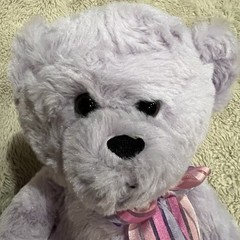 Burton + Burton Purple Teddy Bear Plush Shiny Heart Pink Bow 10” Brown Eyes