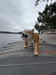 Jet Creations 96″ Long Lifelike Tiger *2024 Edition*