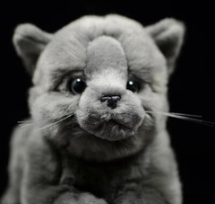 British Shorthair Cat 8 Inch Stuffed Animal Plush Toys Toddler Doll Kids Gifts