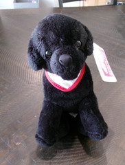 Sheels Black Lab Plush Stuff Animal w/Tags 6″