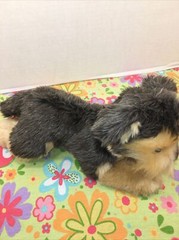 NWT-12” Aurora Flopise Yorky Yorkshire Dog Stuffed Plush