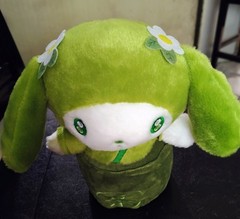 Sanrio My Melody Matcha Green Teas Plush Collection