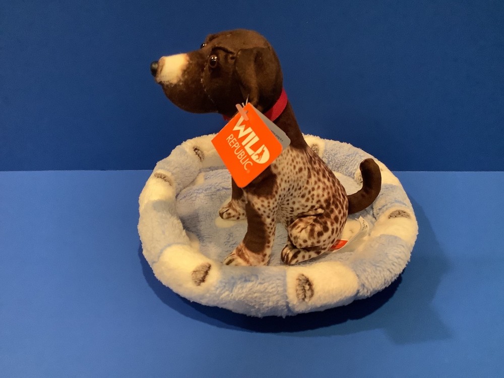 plush German Shorthair Pointer with bed