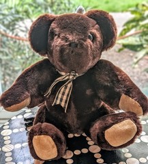 Vintage Jointed Teddy Bear • Poseable Arms & Legs • Silky Dark Brown Plush •