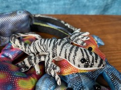 Lot 13: Sand Animals Frog Lizard Turtle Elephant Fish Crab Plush Beans Lot1 READ