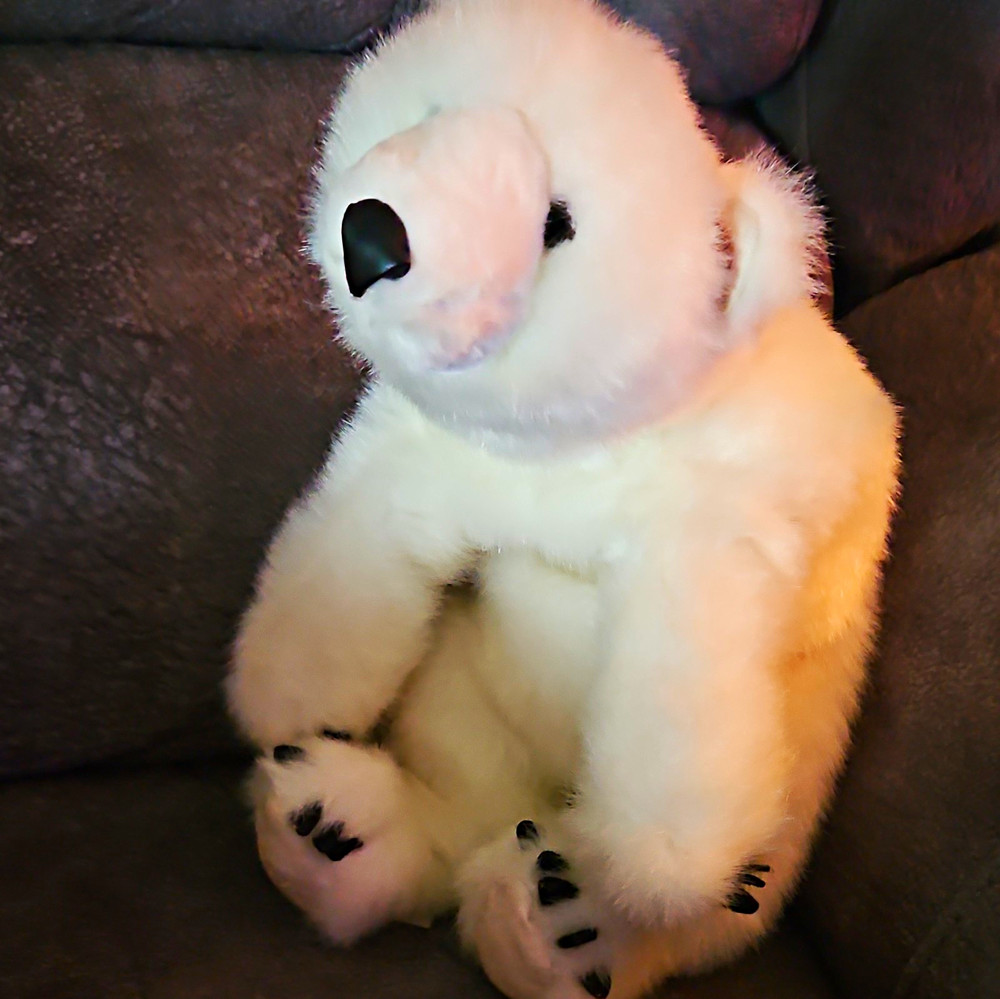 Ditz Designs White/Black Polar Bear Plush Stuffed Animal, Soft Plush Toy Doll