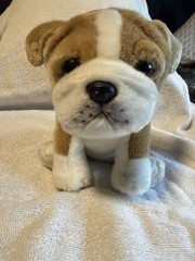 Plush Aurora Miyoni Tots Plush Bulldog Puppy Dog Toy Realistic Tan White 8.5″