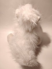 Webkinz Samoyed HM176 Ganz Retired Soft Fluffy White Dog Plush Toy NO CODE