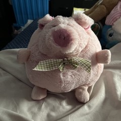 Plush Pink Pig Stuff Animal 9”