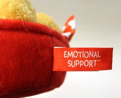 Emotional Support Chicken Nuggets Plush 8 Inch