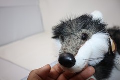 Ranger Rex Gus Talking WILLAMINA WOLF 10″ Plush Forest Friends Stuffed WORKS