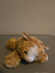 Aurora Tabby Kitty Cat Plush Orange and White Green Eyes Soft Stuffed Animal