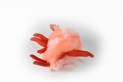 Stuffed Bed Bug Toy, Red, Plushy, Plush, Educational, Gag Gift, 7″ F1559 B137