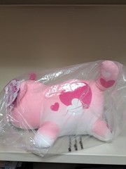 Aphmau MeeMeows PINK HEARTS CAT 11″ 💖💖💖 Aphmau Merch (NOT BONKERS)