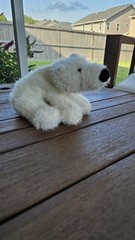 Ganz Webkinz Polar Bear Plush Stuffed Animal Toy #HM116 No Code White