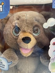 PLAi Poe AI Story Bear Interactive Talking Plush OpenAI Claude NEW Sealed