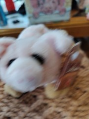 Lou Rankin Mini Friends Plush Pig Stuffed Animal Beanbag Toy Small 7″ Dakin