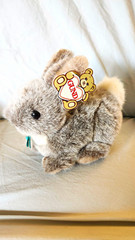 GUND Hippity Hops Gray & White Bunny Rabbit Plush Stuffed Animal VTG 1987 3436