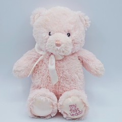 Baby Gund My First Teddy Pink Bear Plush Stuffed Animal 4043949 Embroidered Eyes