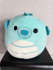 Squishmallow Sheldon Seahorse 5″ S5 #346 Plush Stuffed Green Teal Sealife New