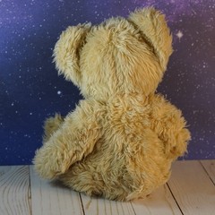 Soft Classics Vintage Toys R Us Geoffrey Inc. Plush Teddy Bear Brown 1995 12”