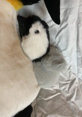Way To Celebrate! Mother & Baby Penguin Plush Penguin Stuffed Animal 12”