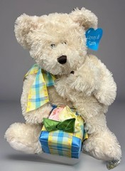 Hug Fun Honey & Sunny Plush Bear Stuffed Animal Teddy Mother & Baby Gift Box
