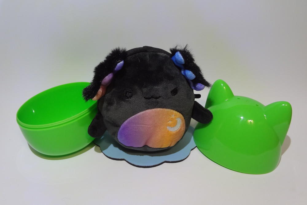 2024 Halloween Squishmallow 5″ Zanda The Axolotl + green cat case