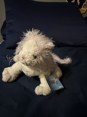 Ganz Webkinz Pink and White Cat HM189 Sealed Code