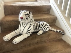 REALISTIC White Tiger Plush Large Green Eyes 42” (feet to End Of Tail) Stuffed