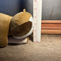 Sloth Plush Follow Your Legends Adopt A Sloth Larry 9” Tree Branch Tag A5