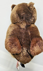 Lot 2 Plush Owls – Snowy Owl by Wild Republic, Brown Owl By Unipak
