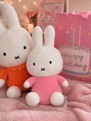 Miffy Pink – GS0724 MIFFY PINK DRESS 16IN