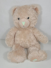 Sandra Magsamen Messages From The Heart Tan Plush Bear Green Heart Nose Foot 15″