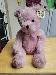 Proud Toy Cuddly Cousins TEDDY BEAR 15″ Soft Toy Sits 10″ Plush Pink