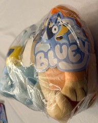 Bluey & Bingo Plush Pillow Buddy Set – Super Soft, Polyester Microfiber, 12 in.