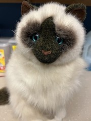 Douglas Cuddle Toy 12″ Stuffed Plush Birman Balinese Himalayan Cat Fluffy