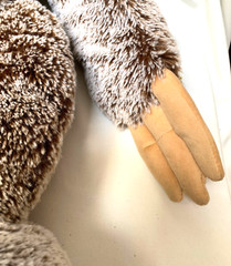Sloth Buddy Plush XL Stuffed Animal Australia Jumbo 36 Inches