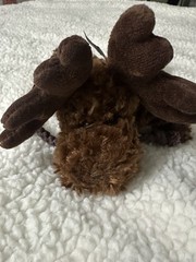 NWT Ellis By Plush Image Moose Hanging Plush