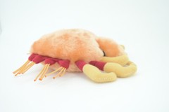 Crab Louse Toy Plushy, Plush Bug Design, Stuffed Animal, Gag Gift, 7″ GM02 B108