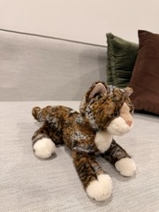 Douglas Retired Tortoise “Cosmo” Cat Plush Toy Stuffed Animal Collectible EUC